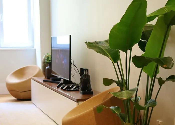 منزل للإقامة Center Amazing